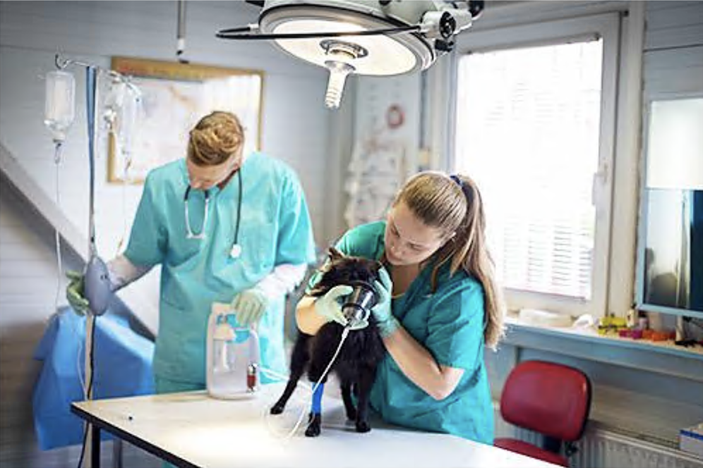 General Anesthesia