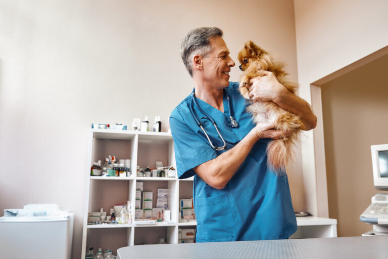 vet with small ginger dog at veterinary clinic