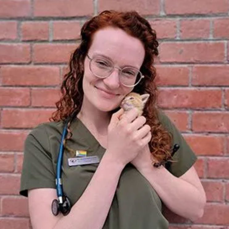 smiling female veterinarian with red hair holding orange kitten
