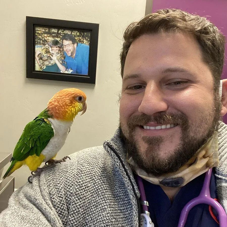 smiling male veterinarian with a bird sitting on his shoulder