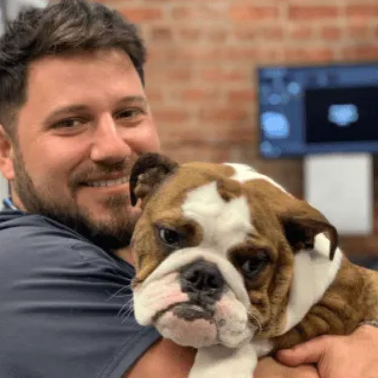 smiling male veterinarian holding bulldog