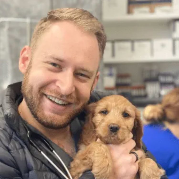smiling male veterinarian with blonde hair holding puppy